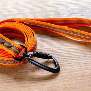 Orange Reflexkoppel med Antiglid och Twist-Lock karbinhake, 20 mm