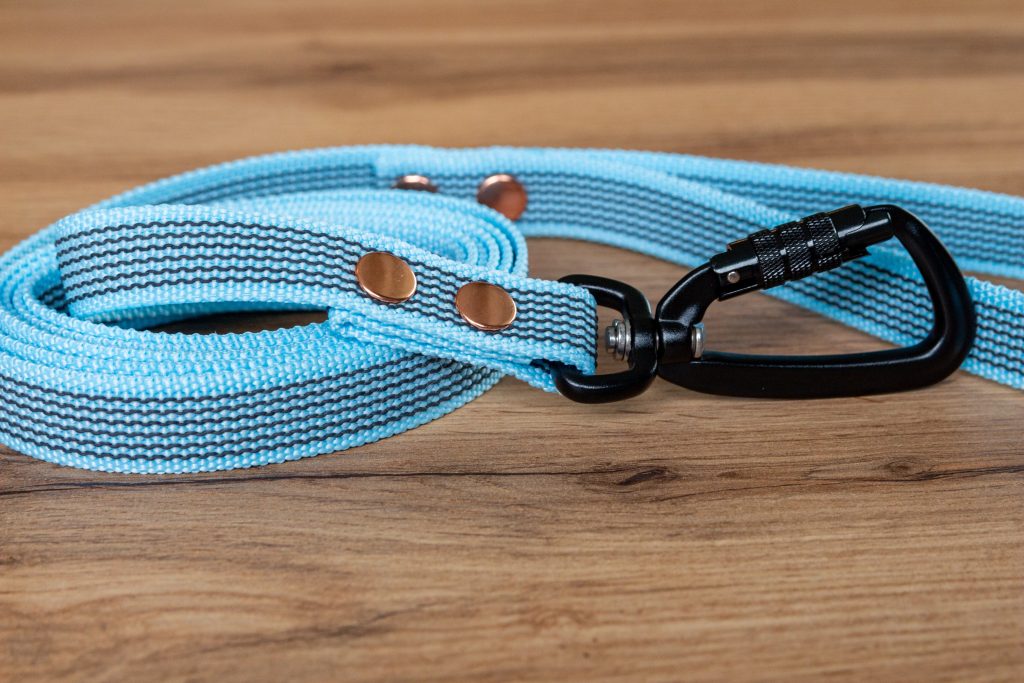 Sky blue Non-slip Dog Leash med Twist-Lock karbinhake, 20 mm