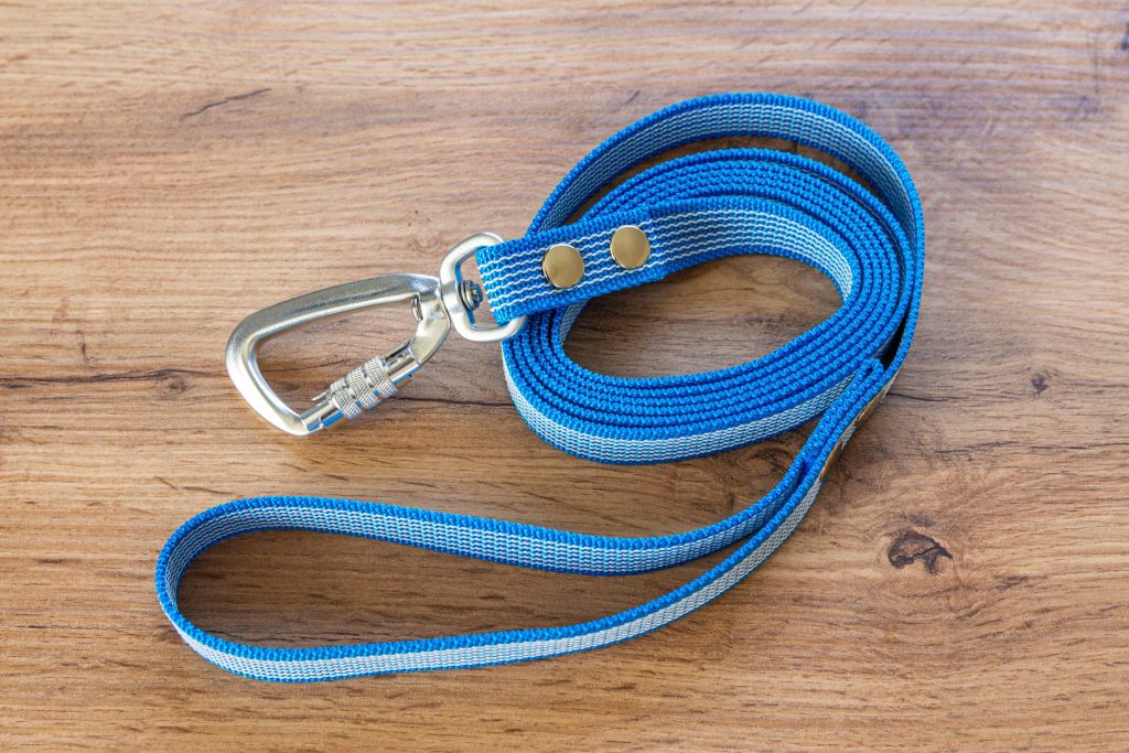 Turquoise Non-slip Dog Leash med Twist-Lock karbinhake, 20 mm